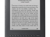 Amazon Kindle 3 – самый знаменитый американский ридер